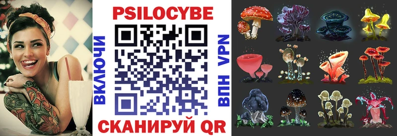 hydra вход  Энем  Псилоцибиновые грибы мицелий 